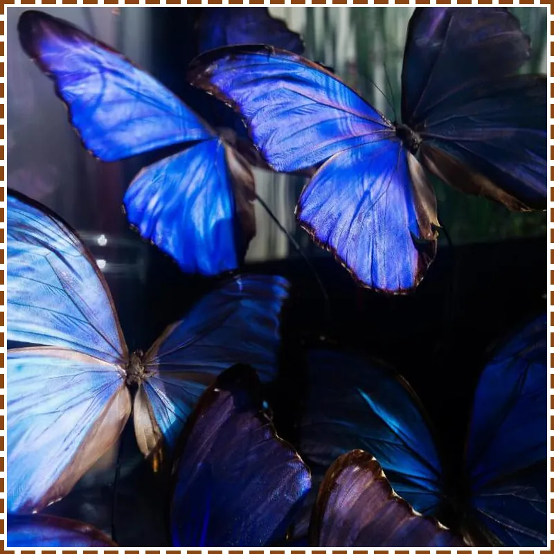 Hotel Moliere hotel facilities