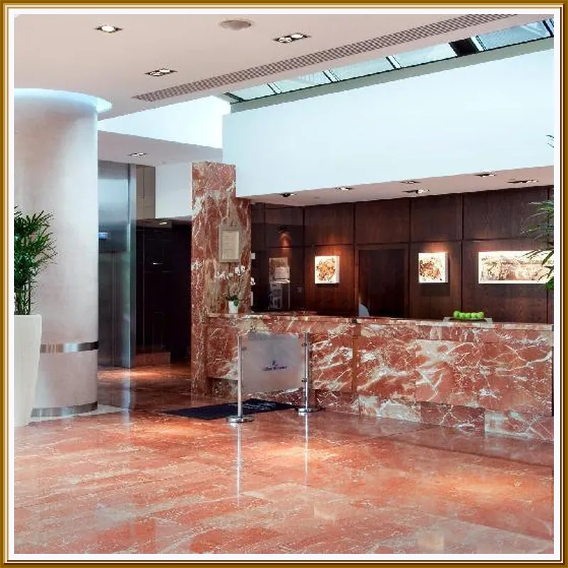 Hilton Strasbourg hotel view