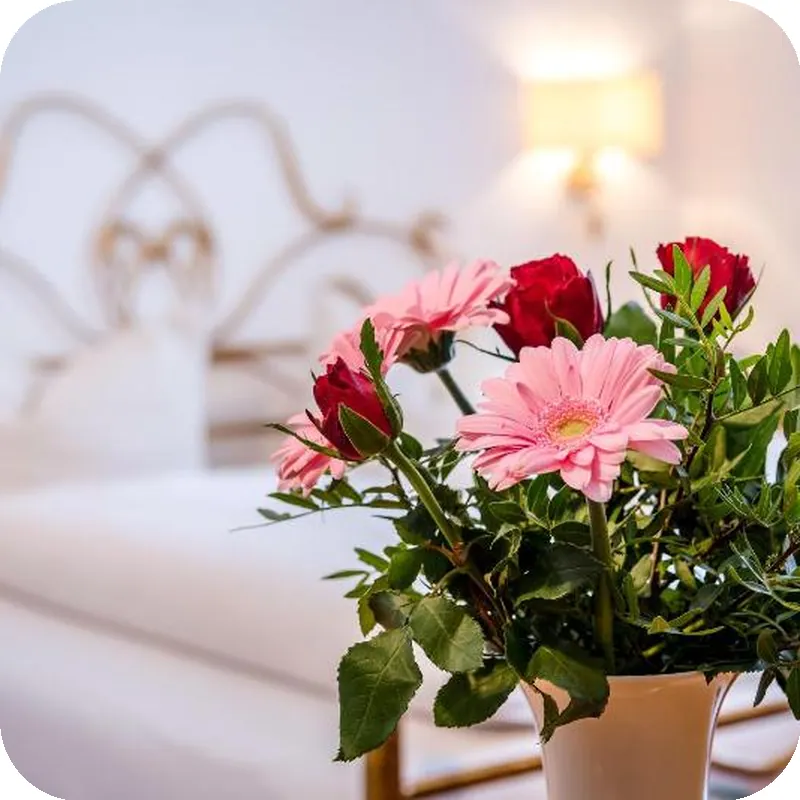 Hotel Laimer Hof Nymphenburg Palace Munich hotel facilities