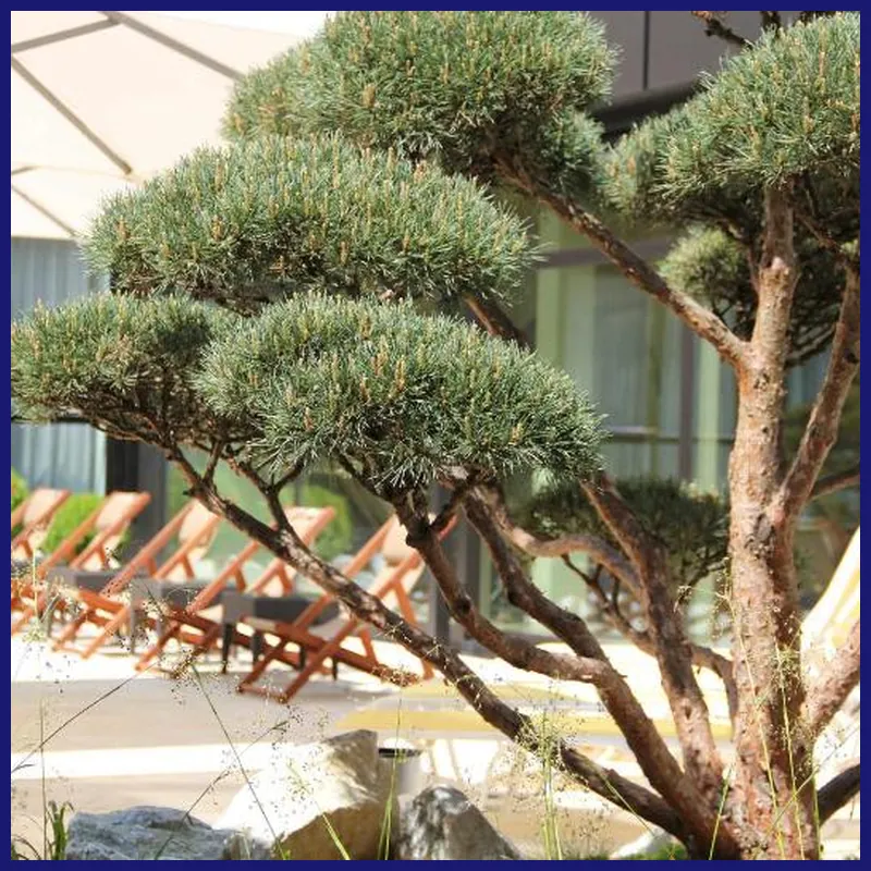 Ramada by Wyndham Nuernberg Parkhotel hotel facilities