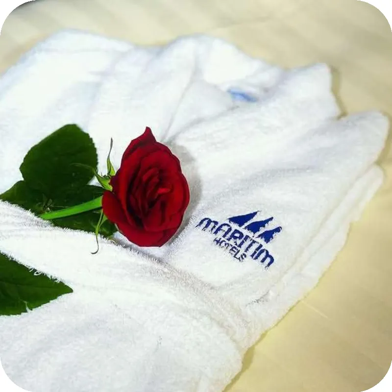 Maritim Hotel Frankfurt hotel facilities