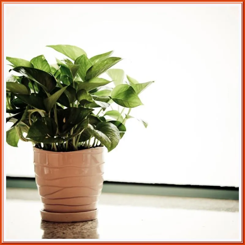 Rambler Oasis Hotel 호텔 시설 이미지