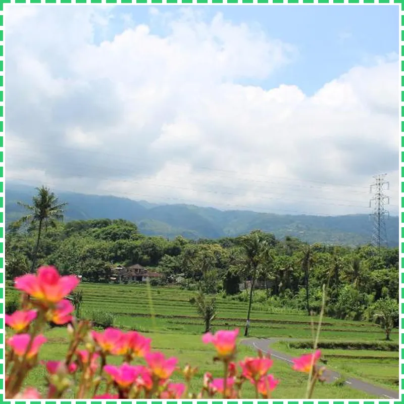 Villa Putih Lovina hotel view