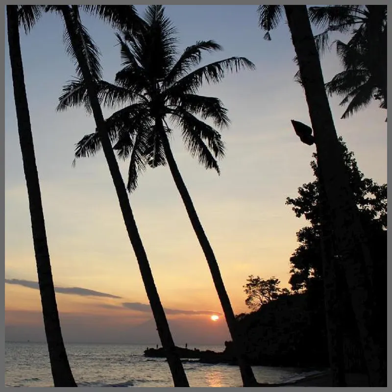 The Chandi Boutique Resort hotel view