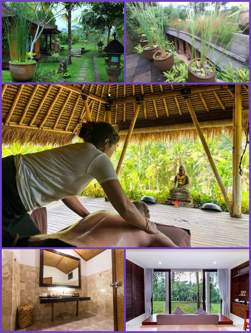 Cepik Villa Sidemen by AGATA hotel main view