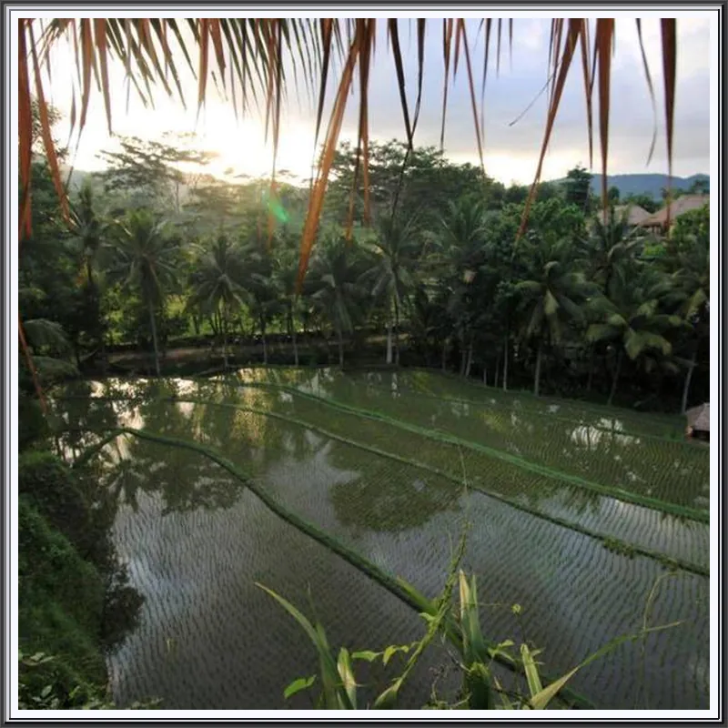 Cepik Villa Sidemen by AGATA hotel view