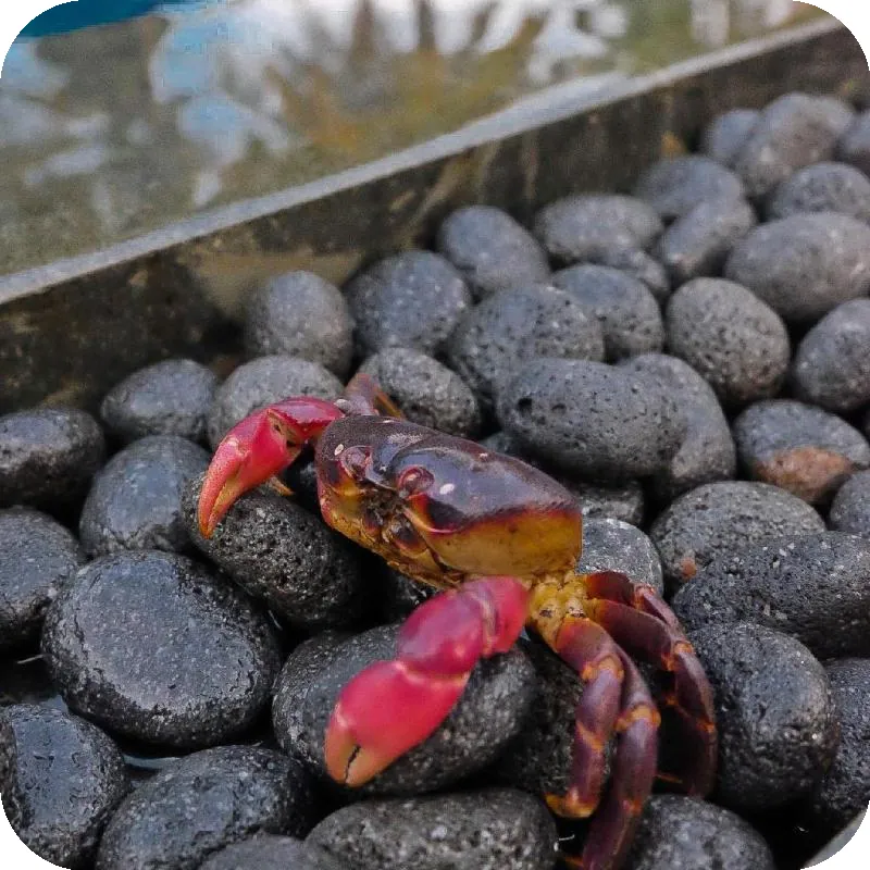 UMADEWI Surf & Suites hotel facilities