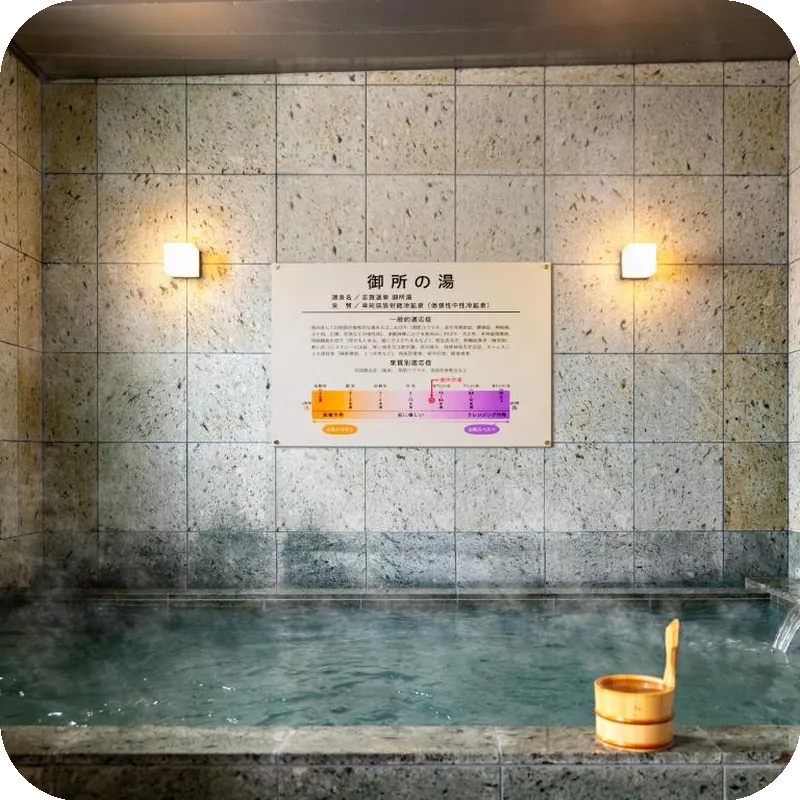 Natural Hot Spring Super Hotel Kyoto Shijo Kawaramachi 호텔 시설 이미지