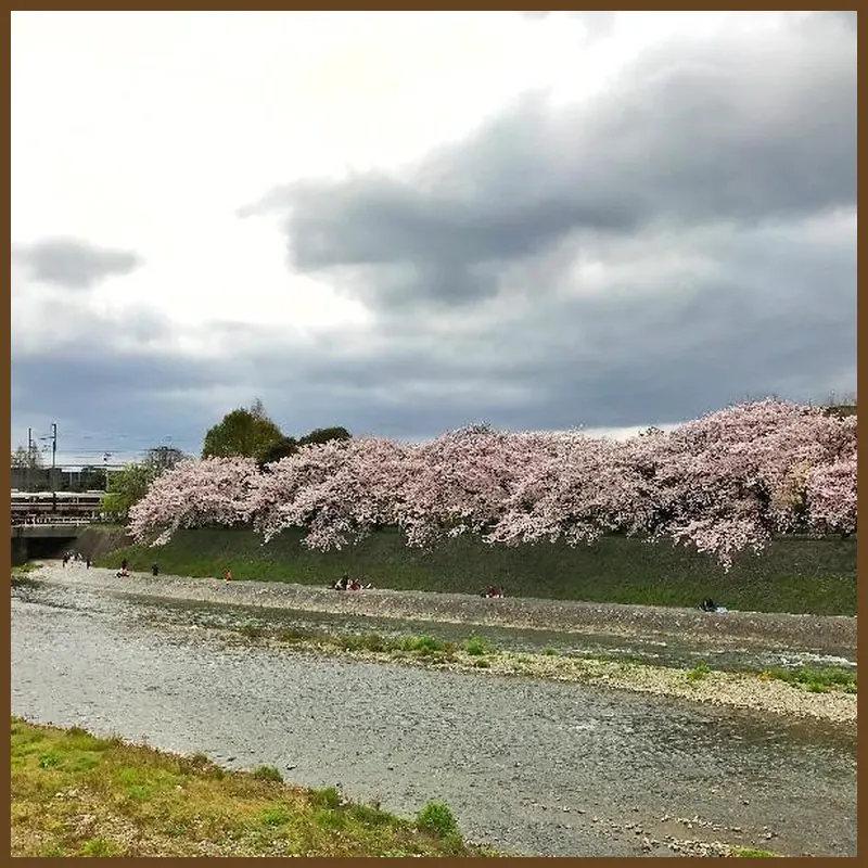 My K House 호텔 시설 이미지