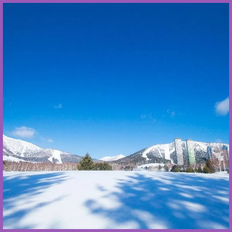 White House ホワイト ハウス 호텔 이미지