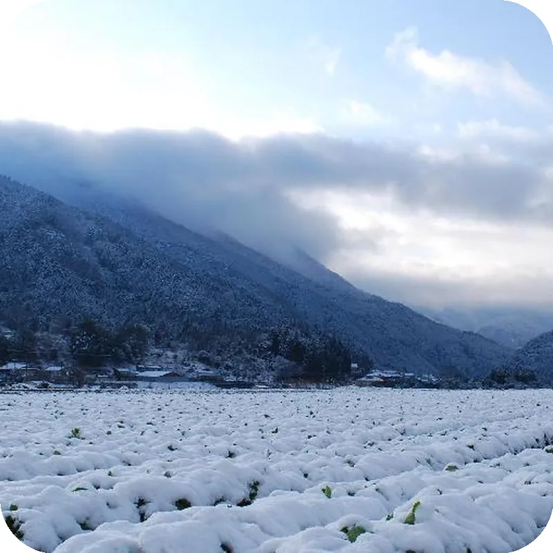 Ohara Onsen Hot Spring Ryokan - SERYO - 호텔 시설 이미지
