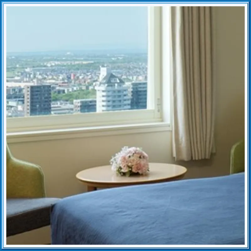 Hotel Emisia Sapporo hotel room