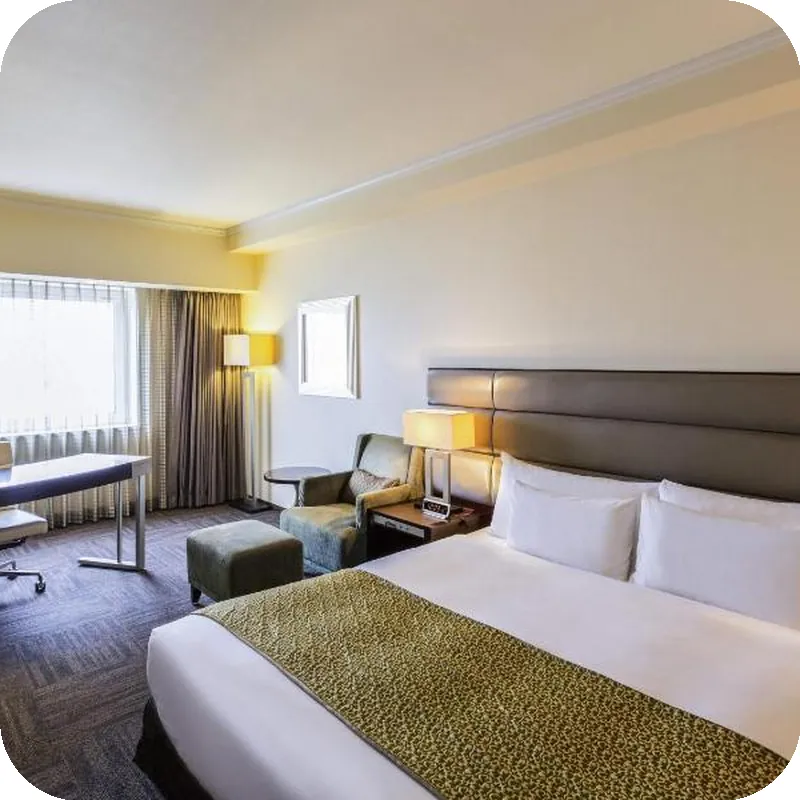 Ibis Styles Sapporo hotel room