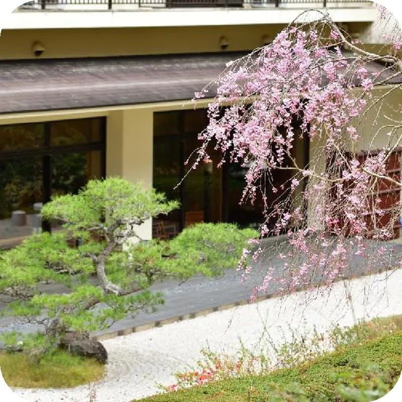 Kyo Yunohana Resort Suisen hotel facilities