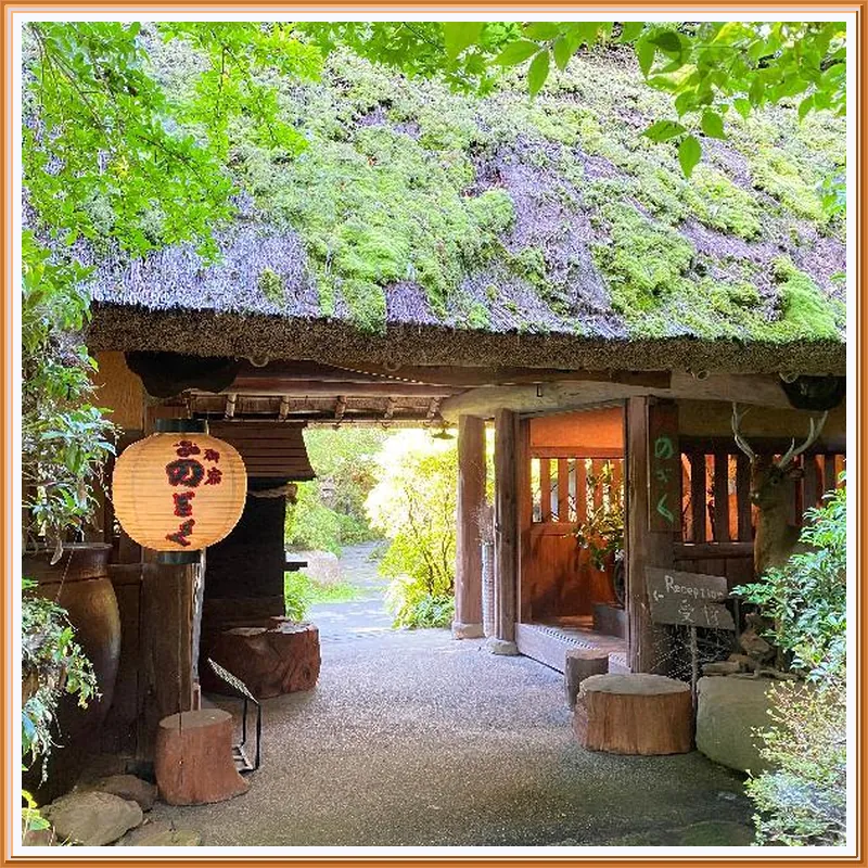 Yufuin Ryokan Nogiku hotel view