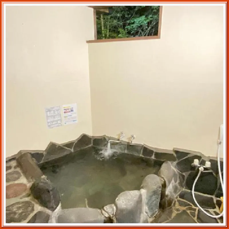 Yufuin Ryokan Nogiku hotel room