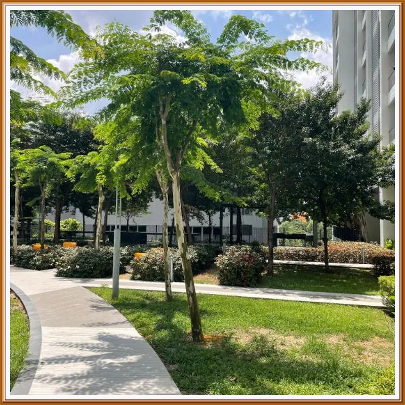 Cybersquare Lakeview(Netflix&Cuckoo Water Filter) hotel facilities