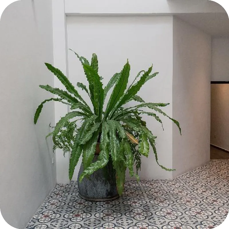 The Magazine Boutique Hotel hotel view