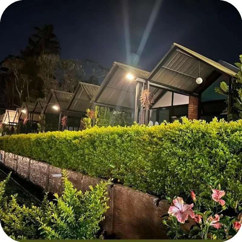 Campod Resort hotel room