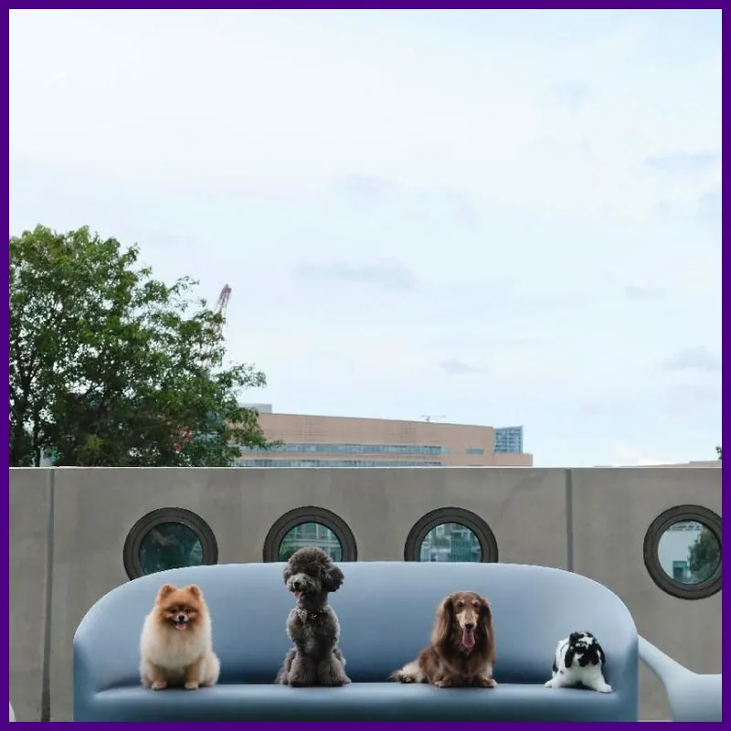 lyf one-north Singapore hotel facilities