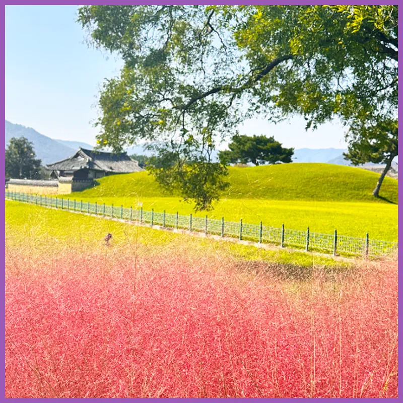 Y Collection by Unboundi Gyeongju hotel view