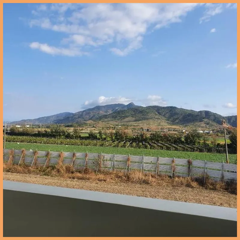 Clare Holiday B&B 호텔 이미지