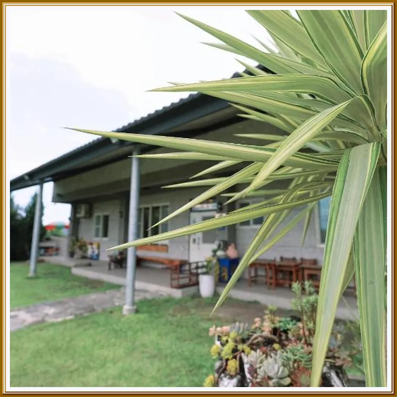 bnb6636 - Liu Liu Mountain Shih Road Garden Homestay 호텔 이미지