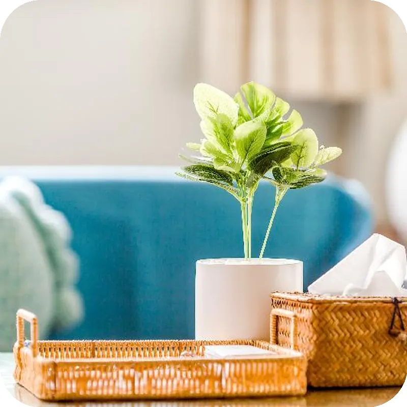 Travel Road WuWu 호텔 이미지