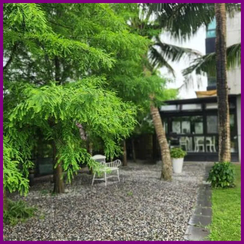 NajimaB&B 호텔 시설 이미지