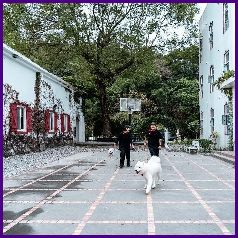 The peaceful village 小和 호텔 이미지