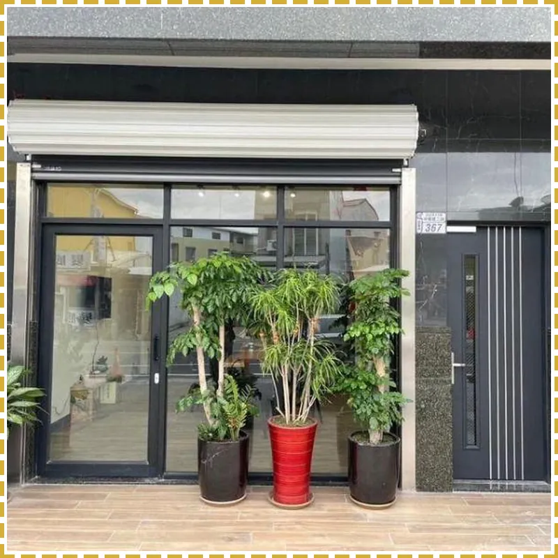 Dragonfly Travel Photography 호텔 이미지