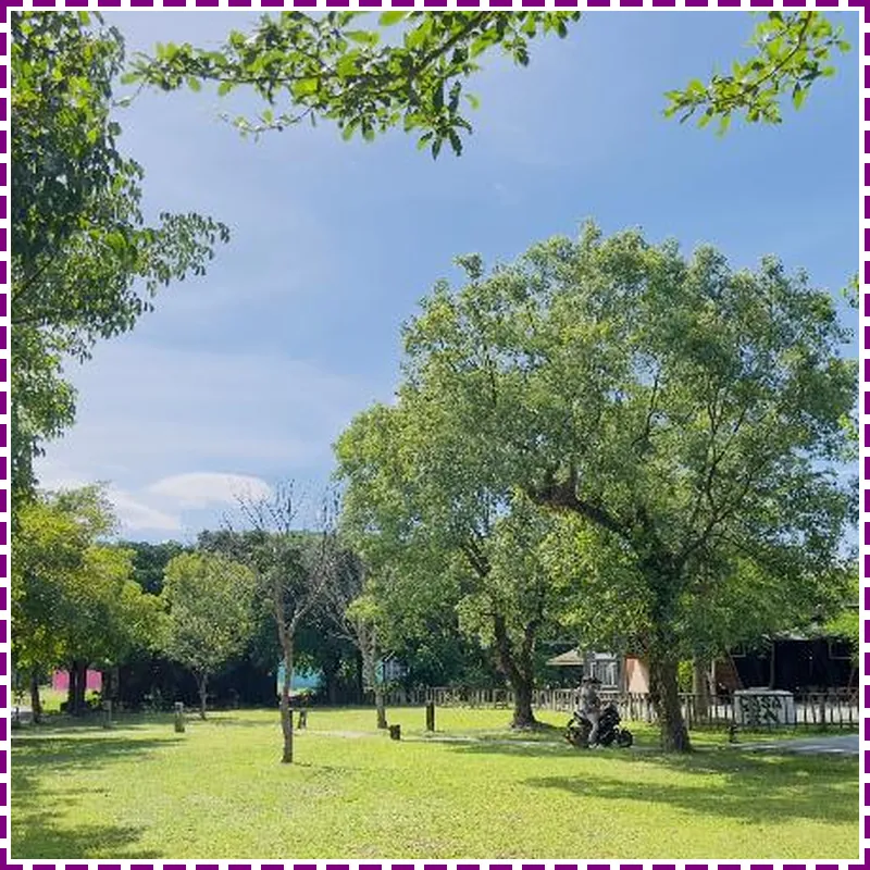 Train A Camping Resort 호텔 이미지