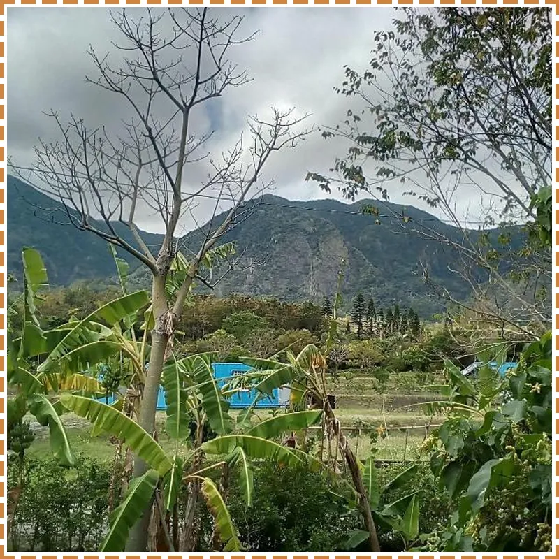 Moonrise Inn 호텔 이미지