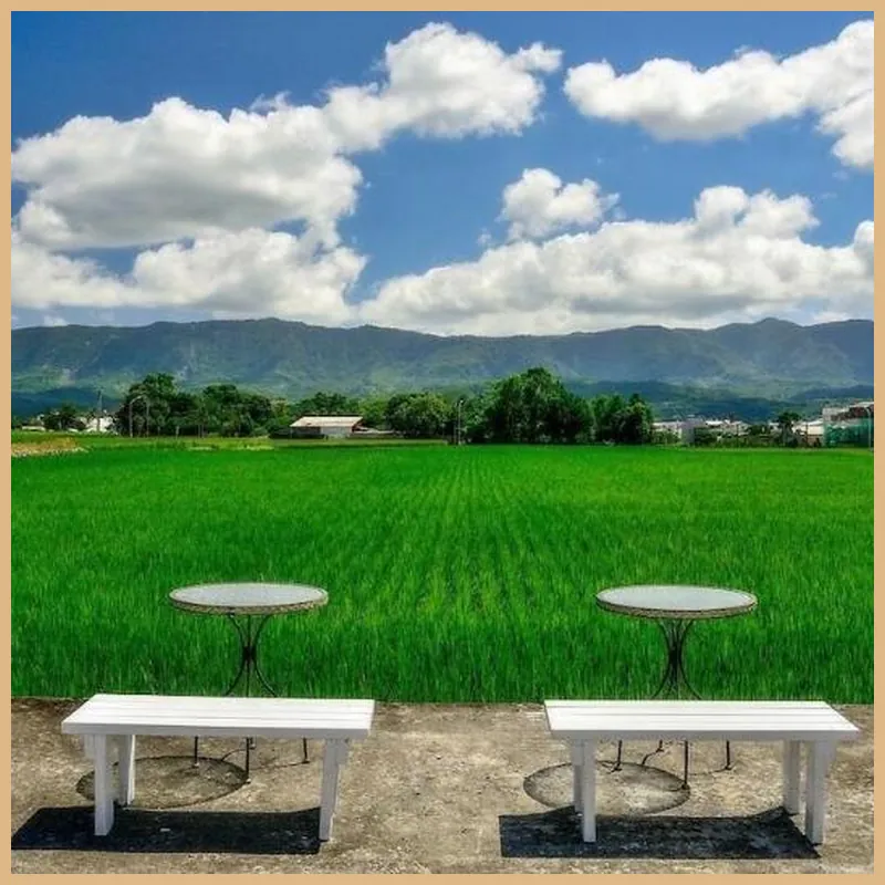 Blue and White Holiday B&B 호텔 이미지