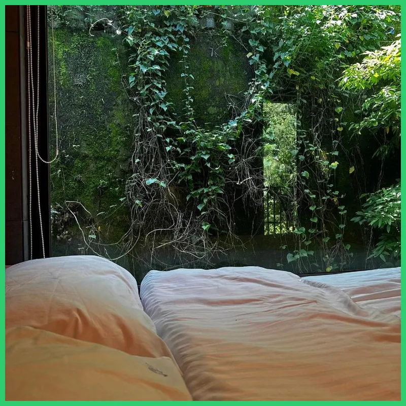 Stay In Forest 호텔 내부 이미지