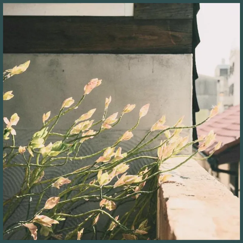 Loku. Tainan 호텔 시설 이미지