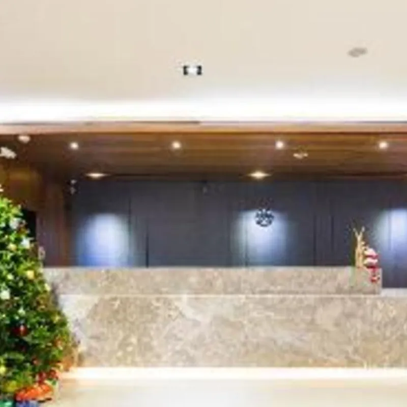 台中博奇大飯店 VIP Hotel Taichung 飯店外觀
