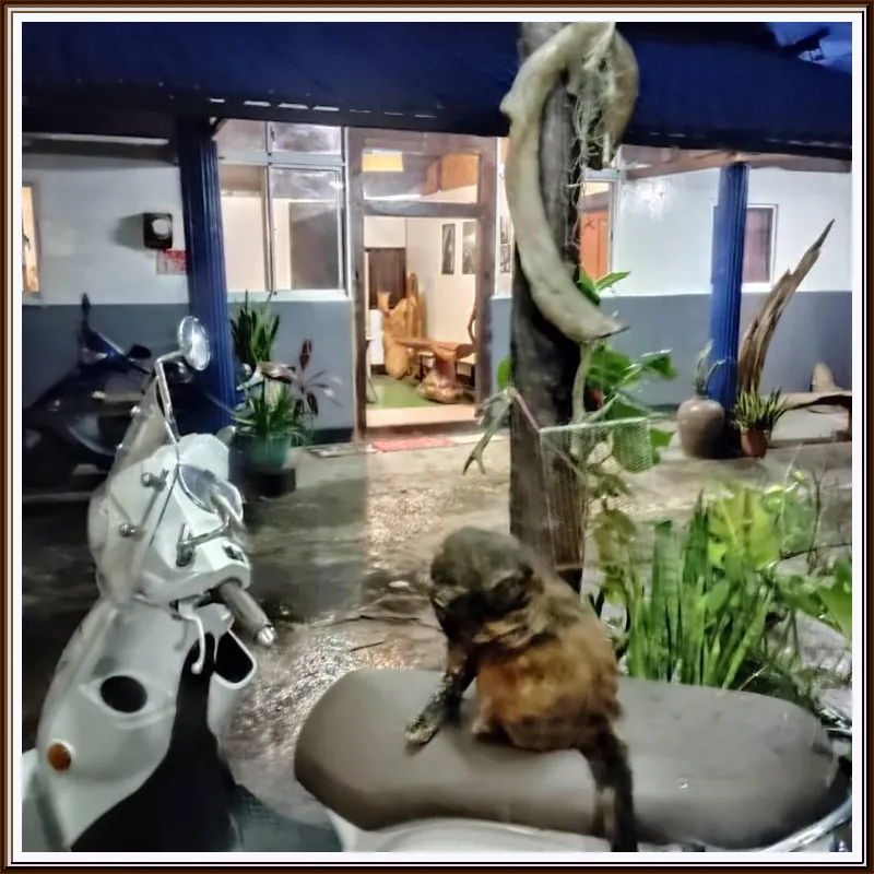 Relaxing BackPkers Heaven 舒適背包客床位AC空調房 호텔 이미지