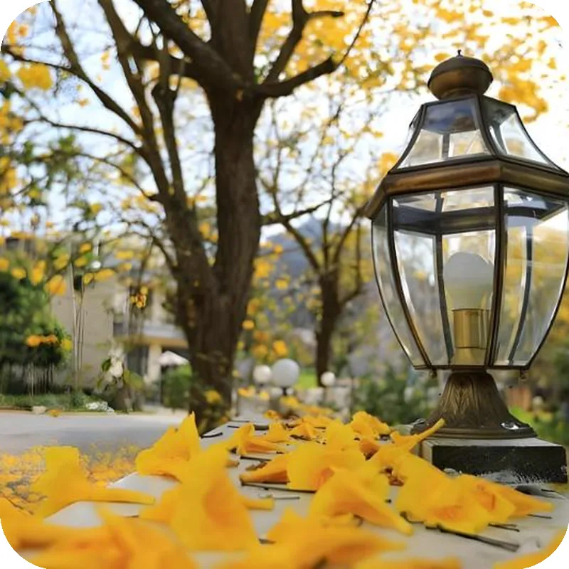 Smile Ark Homestay 호텔 시설 이미지