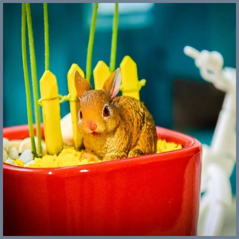 Rabbit house 호텔 이미지