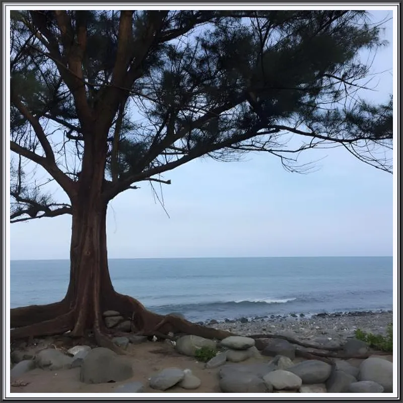 Bridge 12th Bed and Breakfast 호텔 이미지
