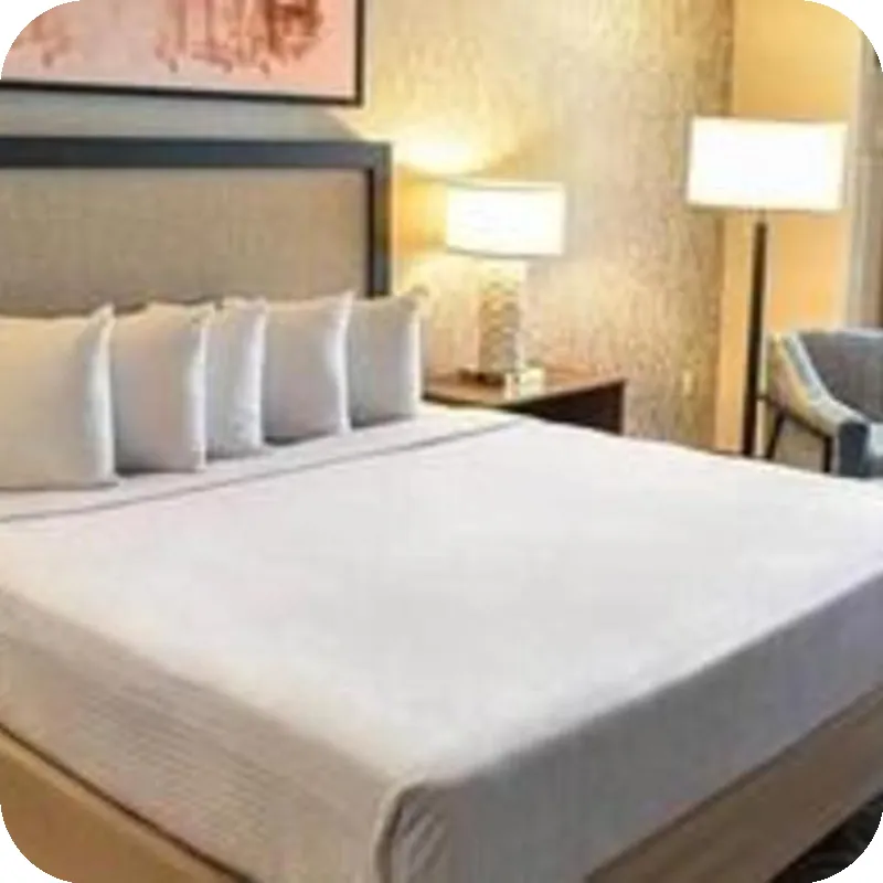 Cannery Casino and Hotel hotel room