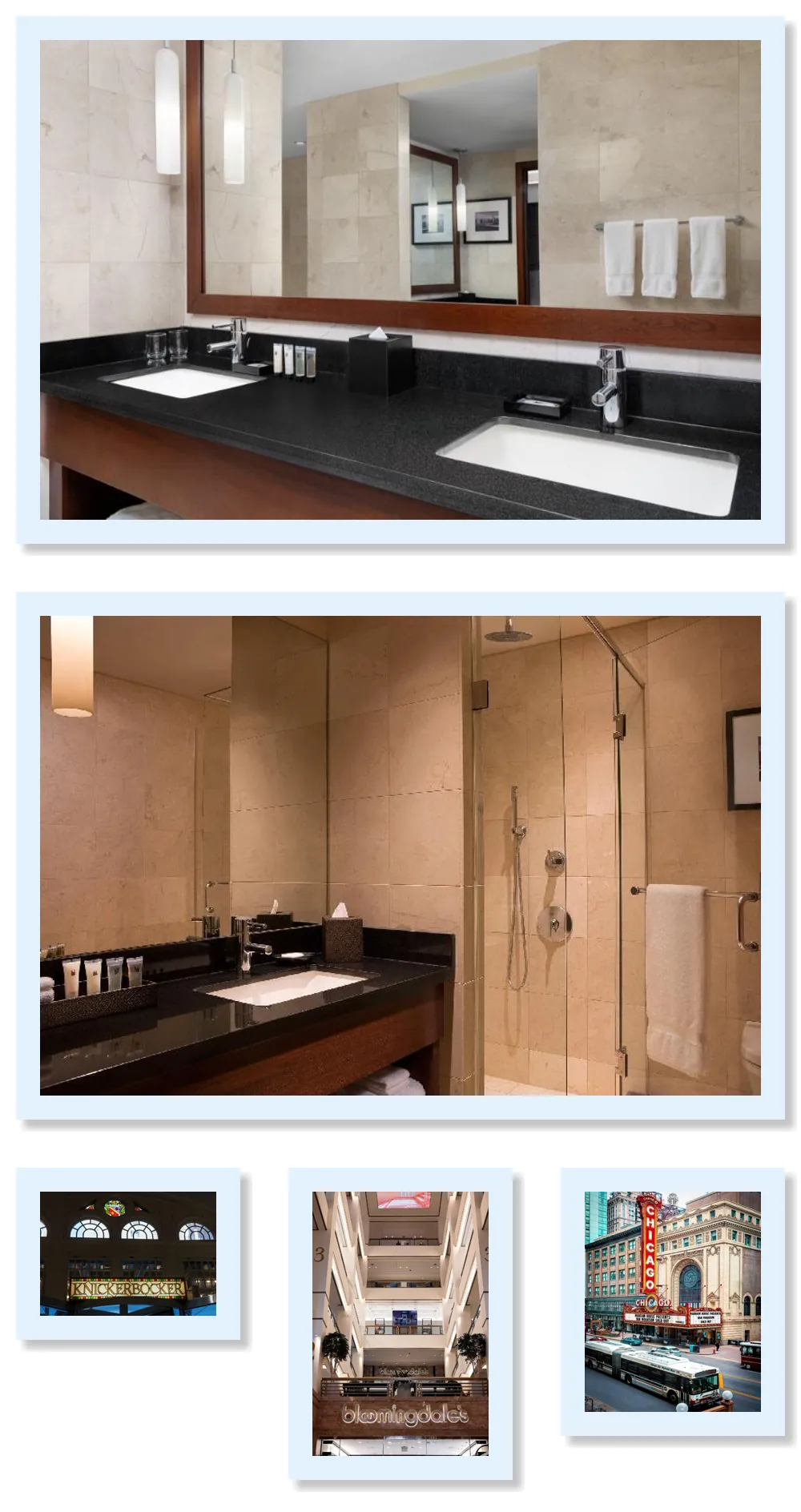 Millennium Knickerbocker Chicago hotel main view