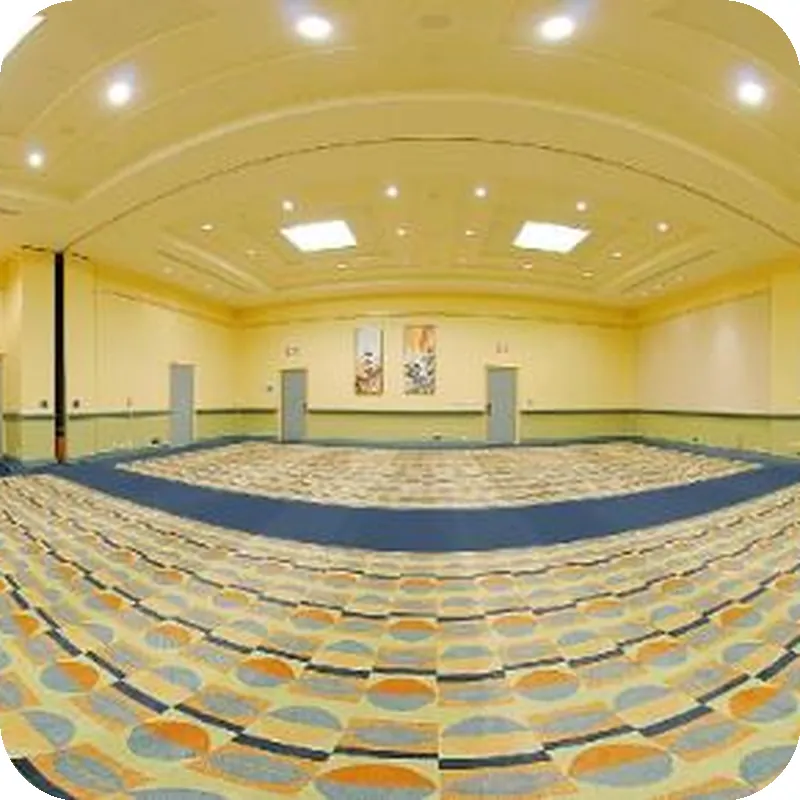 Walt Disney World Swan hotel view