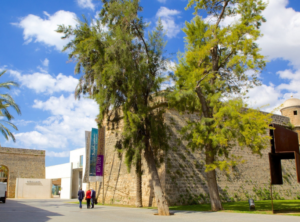 埃斯巴魯阿德美術館