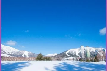 White House ホワイト ハウス Furano 飯店圖片