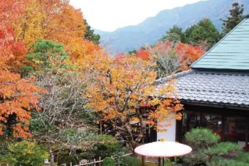 Ohara Onsen Hot Spring Ryokan - SERYO - Kyoto 飯店圖片