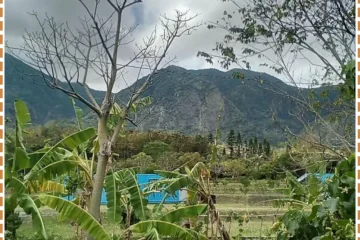 Moonrise Inn Taitung 飯店圖片