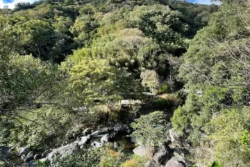 福緣山莊 桃園市民宿004號 Taoyuan 飯店圖片