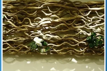 chez taipei no5 Taipei 飯店圖片